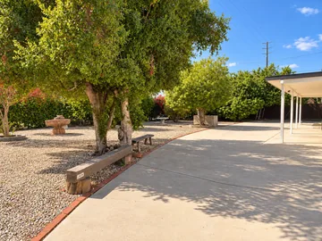 Shaded garden walkway with trees, benches and a covered patio